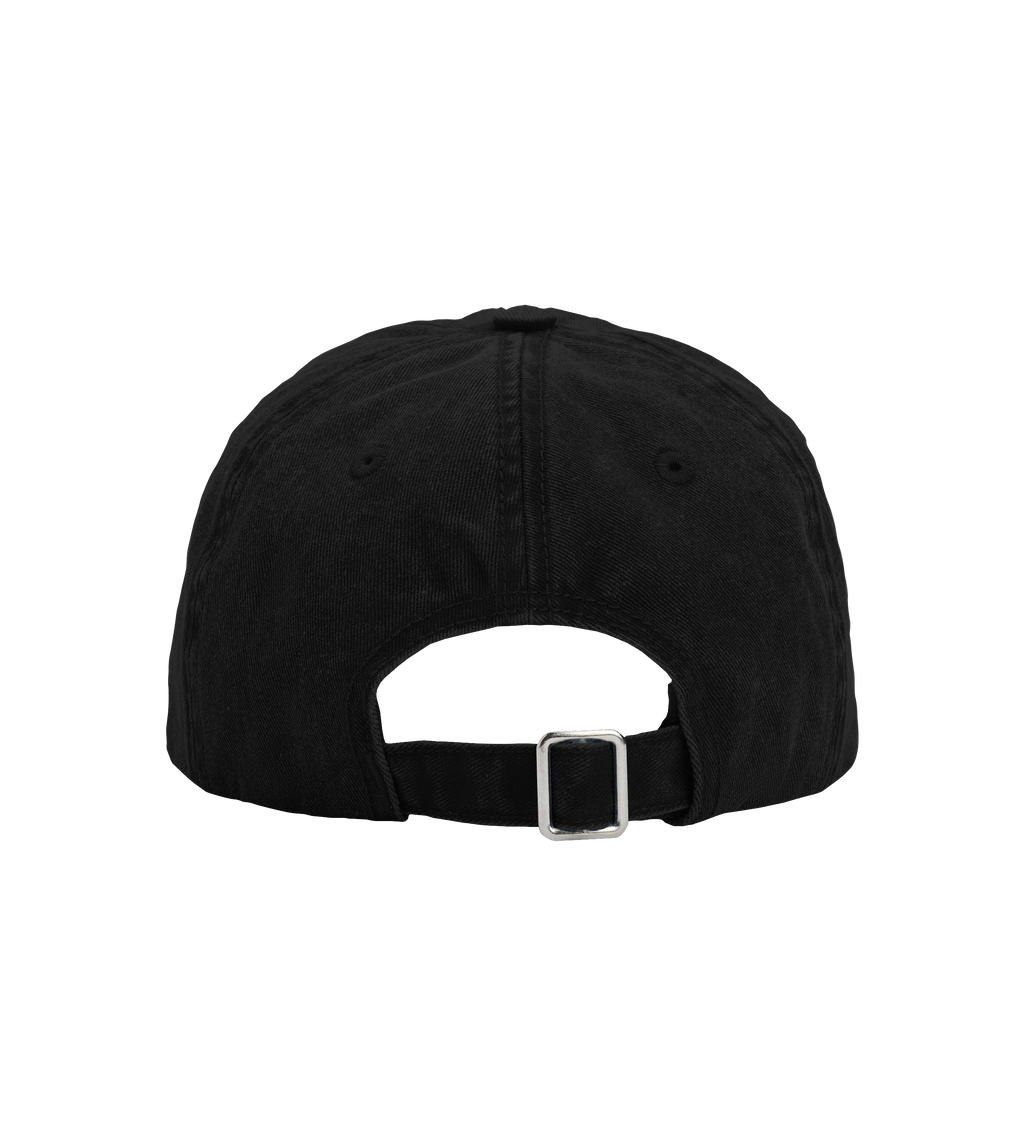 Backroom Twill Cap