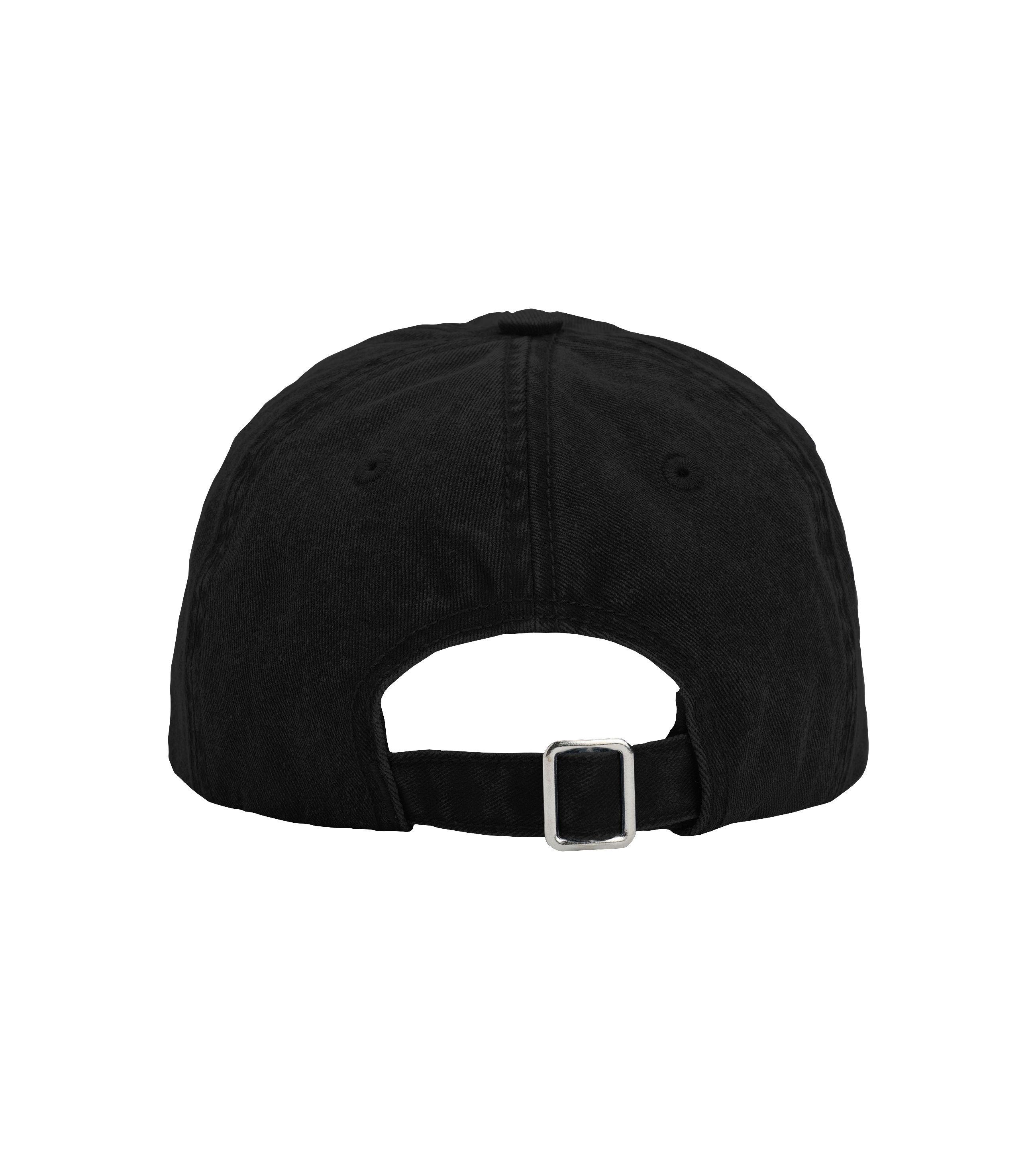 Backroom Twill Cap